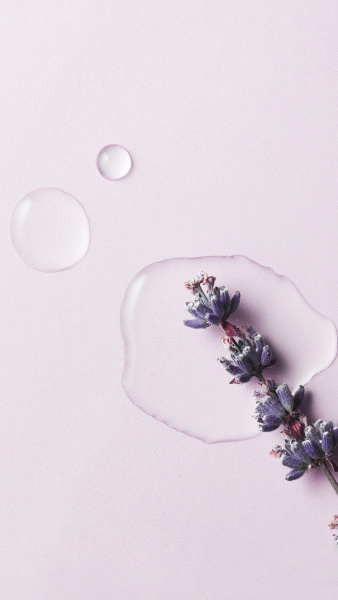 Эфирное масло лаванды от Lenel - купить в интернет-магазине Ленель